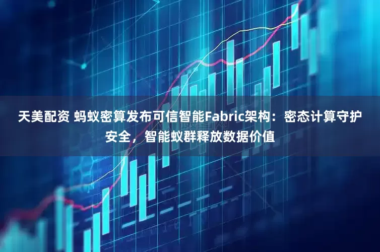 天美配资 蚂蚁密算发布可信智能Fabric架构：密态计算守护安全，智能蚁群释放数据价值